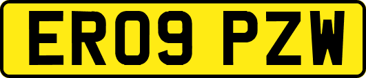 ER09PZW
