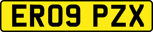 ER09PZX