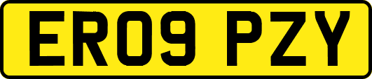 ER09PZY