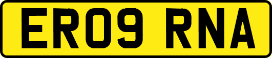 ER09RNA