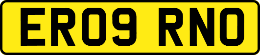 ER09RNO
