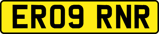 ER09RNR