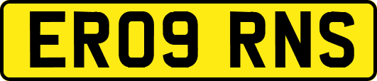 ER09RNS