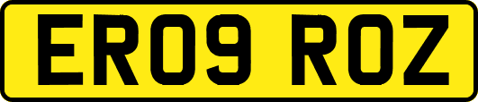 ER09ROZ