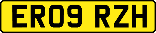 ER09RZH