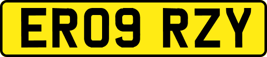 ER09RZY