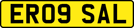 ER09SAL
