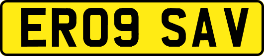 ER09SAV