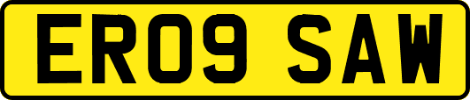 ER09SAW