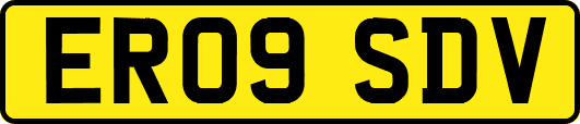 ER09SDV