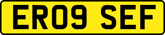 ER09SEF
