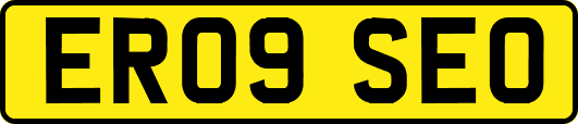 ER09SEO