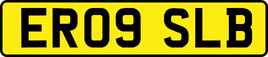 ER09SLB