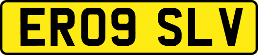 ER09SLV