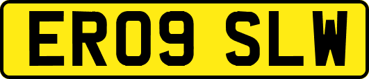 ER09SLW