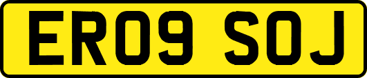 ER09SOJ