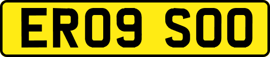 ER09SOO