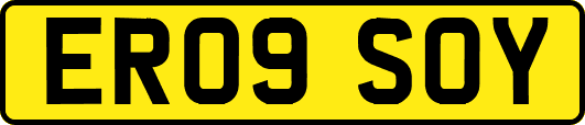 ER09SOY