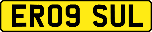ER09SUL