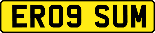 ER09SUM