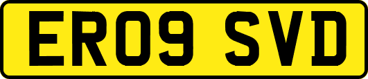 ER09SVD