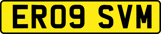 ER09SVM
