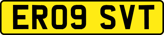 ER09SVT