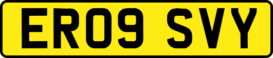 ER09SVY