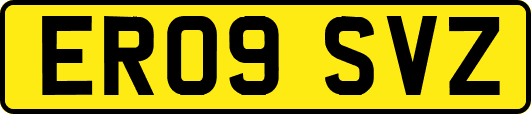 ER09SVZ
