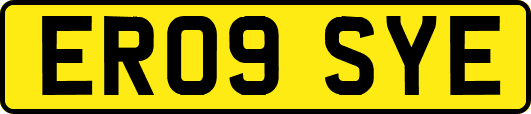 ER09SYE
