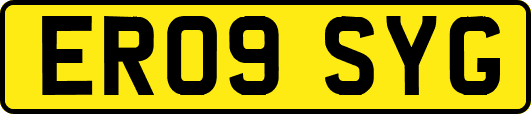 ER09SYG