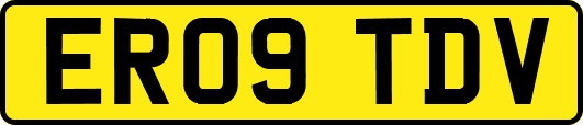 ER09TDV