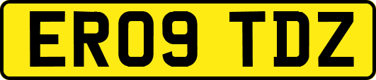 ER09TDZ