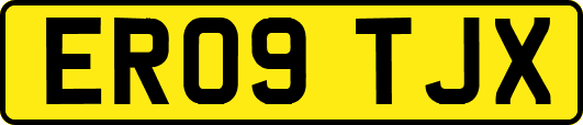 ER09TJX