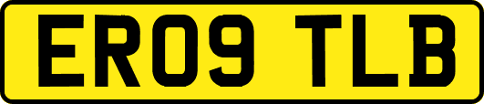 ER09TLB
