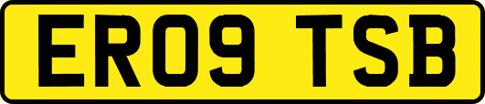 ER09TSB