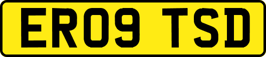 ER09TSD
