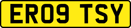 ER09TSY