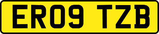 ER09TZB