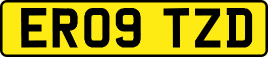 ER09TZD
