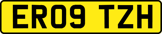 ER09TZH