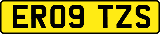 ER09TZS