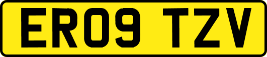 ER09TZV