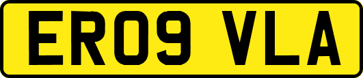 ER09VLA