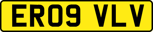ER09VLV