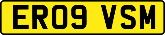ER09VSM
