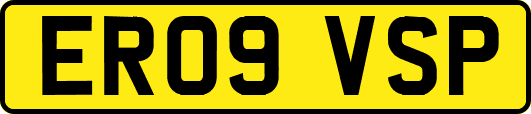 ER09VSP