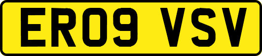 ER09VSV