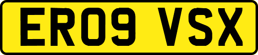 ER09VSX