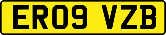 ER09VZB
